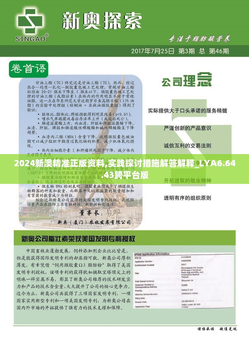 2025新奥资料正版大全详细解答、解释与落实 